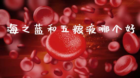 海之蓝和五粮液哪个好_https://m.apzhendong.com_财务分析_第1张