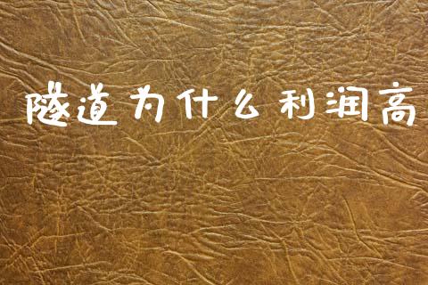隧道为什么利润高_https://m.apzhendong.com_全球经济_第1张