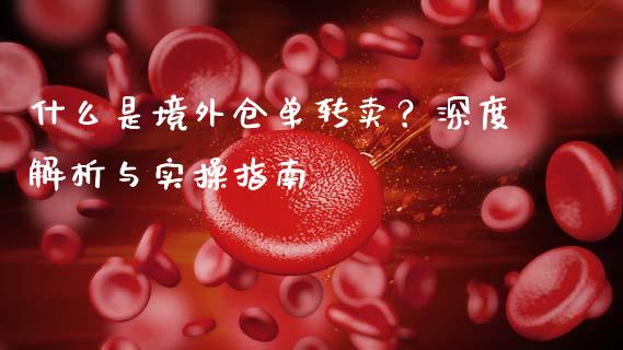 什么是境外仓单转卖？深度解析与实操指南_https://m.apzhendong.com_财经资讯_第1张