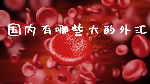 国内有哪些大的外汇_https://m.apzhendong.com_财经资讯_第1张