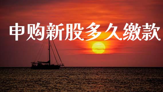 申购新股多久缴款_https://m.apzhendong.com_财经资讯_第1张