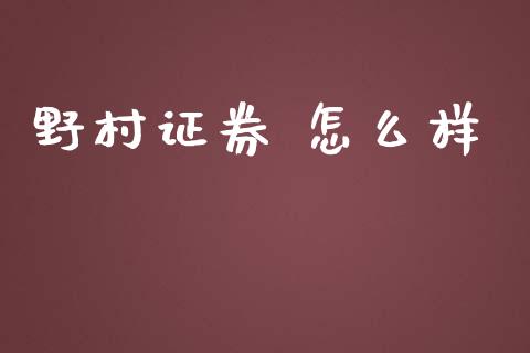 野村证券 怎么样_https://m.apzhendong.com_财经资讯_第1张