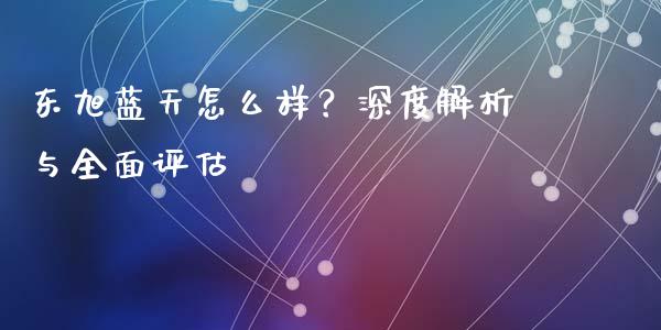 东旭蓝天怎么样？深度解析与全面评估_https://m.apzhendong.com_财经资讯_第1张