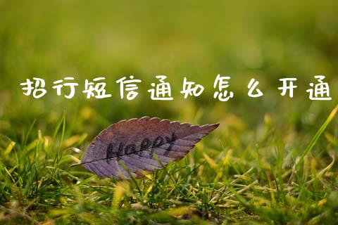 招行短信通知怎么开通_https://m.apzhendong.com_期货行情_第1张