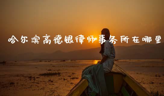 哈尔滨高德银律师事务所在哪里_https://m.apzhendong.com_财经资讯_第1张