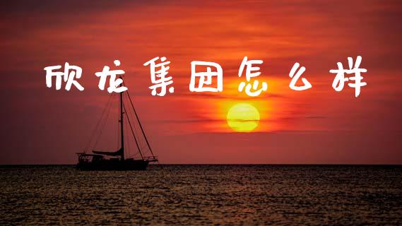 欣龙集团怎么样_https://m.apzhendong.com_财务分析_第1张