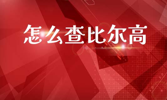 怎么查比尔高_https://m.apzhendong.com_期货行情_第1张
