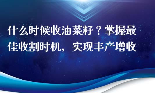 什么时候收油菜籽？掌握最佳收割时机，实现丰产增收_https://m.apzhendong.com_期货行情_第1张