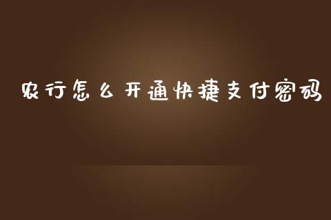 农行怎么开通快捷支付密码_https://m.apzhendong.com_财务分析_第1张