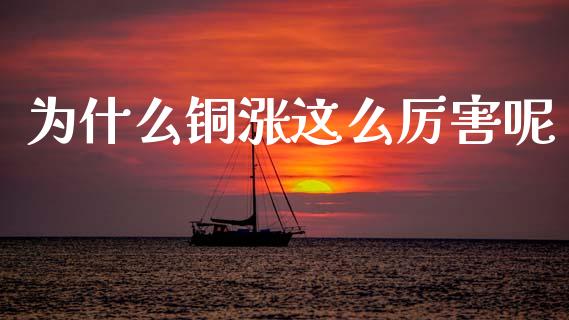 为什么铜涨这么厉害呢_https://m.apzhendong.com_全球经济_第1张