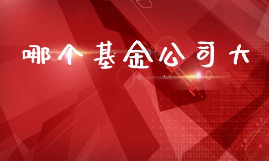 哪个基金公司大_https://m.apzhendong.com_期货行情_第1张