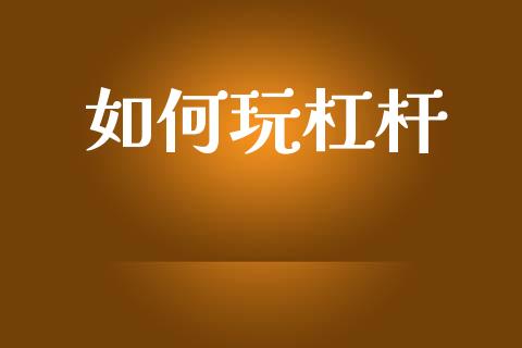 如何玩杠杆_https://m.apzhendong.com_全球经济_第1张