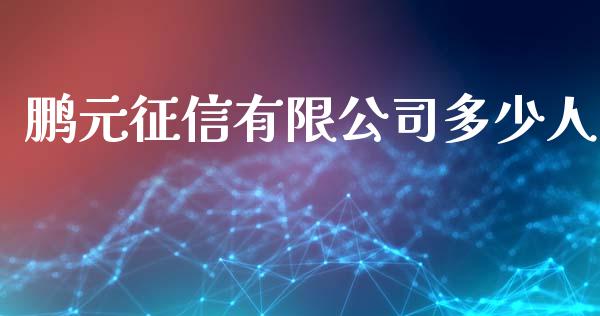 鹏元征信有限公司多少人_https://m.apzhendong.com_全球经济_第1张
