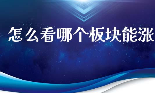 怎么看哪个板块能涨_https://m.apzhendong.com_财务分析_第1张