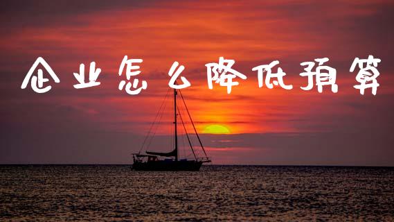 企业怎么降低预算_https://m.apzhendong.com_全球经济_第1张