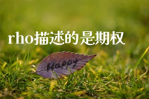 rho描述的是期权_https://m.apzhendong.com_财务分析_第1张