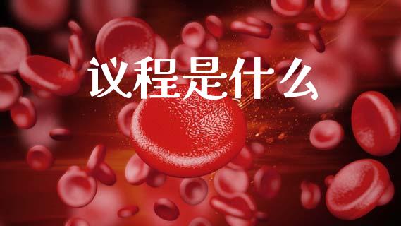 议程是什么_https://m.apzhendong.com_全球经济_第1张