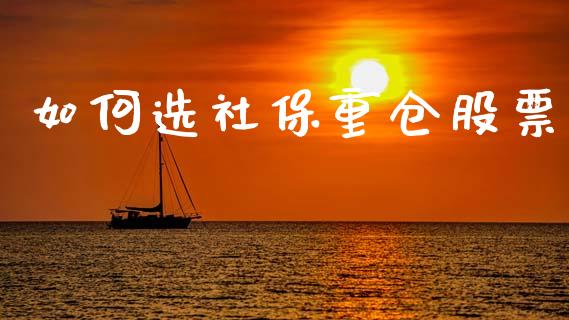 如何选社保重仓股票_https://m.apzhendong.com_财经资讯_第1张