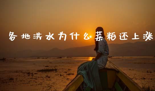 各地洪水为什么菜粕还上涨_https://m.apzhendong.com_财务分析_第1张