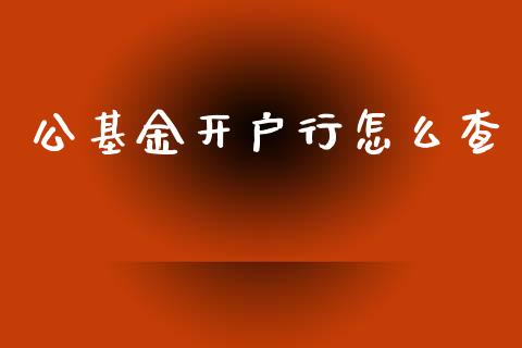 公基金开户行怎么查_https://m.apzhendong.com_财务分析_第1张