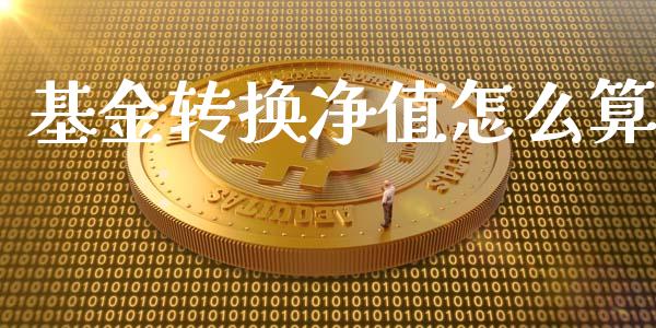 基金转换净值怎么算_https://m.apzhendong.com_财务分析_第1张