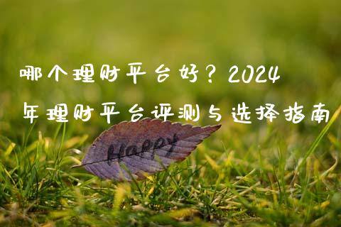 哪个理财平台好？2024年理财平台评测与选择指南_https://m.apzhendong.com_期货行情_第1张