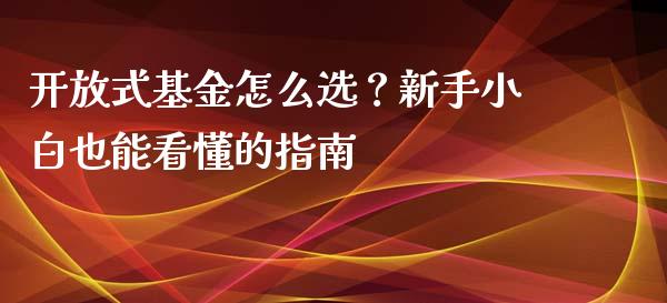 开放式基金怎么选？新手小白也能看懂的指南_https://m.apzhendong.com_财务分析_第1张