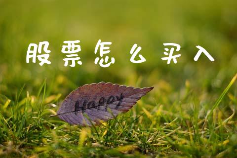 股票怎么买入_https://m.apzhendong.com_全球经济_第1张