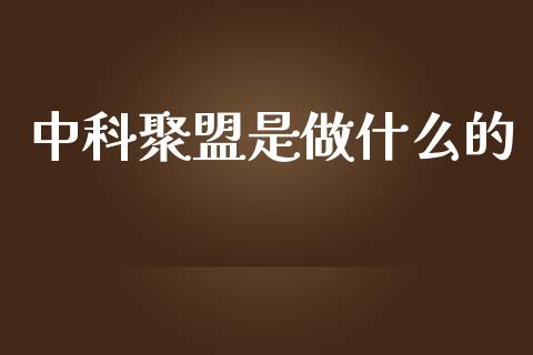 中科聚盟是做什么的_https://m.apzhendong.com_财务分析_第1张