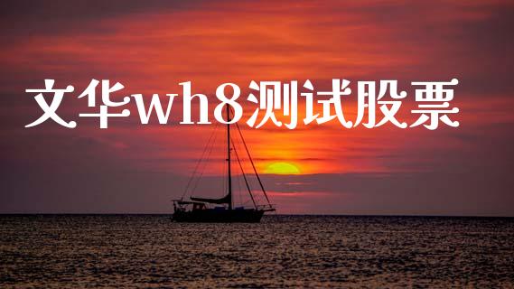 文华wh8测试股票_https://m.apzhendong.com_财经资讯_第1张