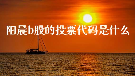 阳晨b股的投票代码是什么_https://m.apzhendong.com_财务分析_第1张
