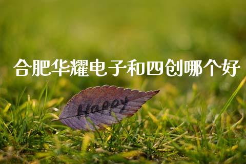 合肥华耀电子和四创哪个好_https://m.apzhendong.com_财务分析_第1张