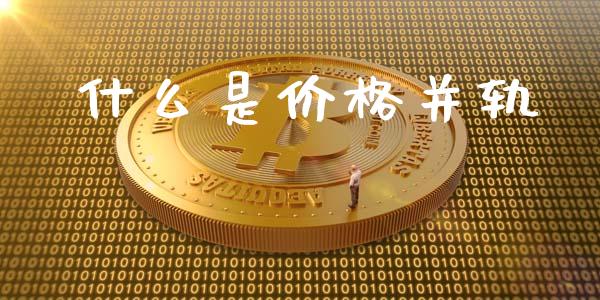 什么是价格并轨_https://m.apzhendong.com_财务分析_第1张