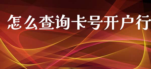 怎么查询卡号开户行_https://m.apzhendong.com_财务分析_第1张