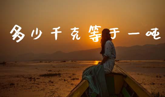 多少千克等于一吨_https://m.apzhendong.com_财经资讯_第1张