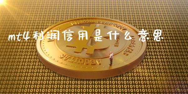 mt4利润信用是什么意思_https://m.apzhendong.com_期货行情_第1张