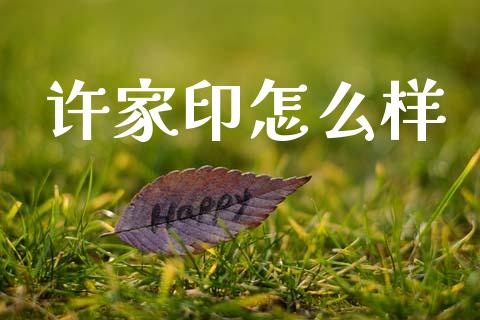 许家印怎么样_https://m.apzhendong.com_期货行情_第1张