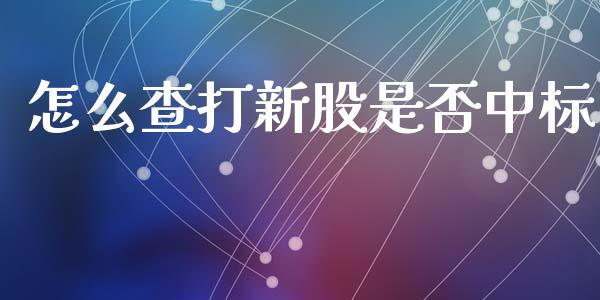 怎么查打新股是否中标_https://m.apzhendong.com_全球经济_第1张