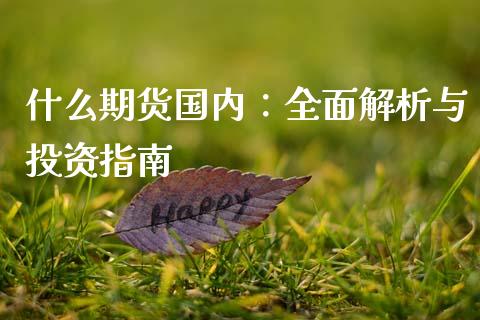 什么期货国内:全面解析与投资指南_财务分析_第1张_财经资讯_财务分析_全球经济_期货行情 什么期货国内:全面解析与投资指南_https://m.apzhendong.com_财务分析_第1张