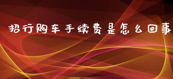 招行购车手续费是怎么回事_https://m.apzhendong.com_期货行情_第1张