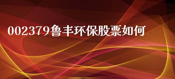 002379鲁丰环保股票如何_https://m.apzhendong.com_全球经济_第1张
