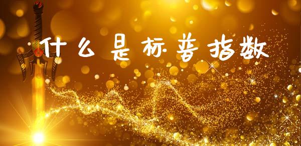 什么是标普指数_https://m.apzhendong.com_全球经济_第1张
