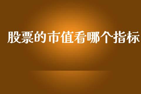 股票的市值看哪个指标_https://m.apzhendong.com_财经资讯_第1张