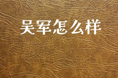 吴军怎么样_https://m.apzhendong.com_财务分析_第1张