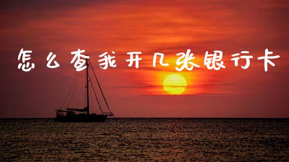 怎么查我开几张银行卡_https://m.apzhendong.com_期货行情_第1张
