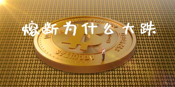 熔断为什么大跌_https://m.apzhendong.com_财务分析_第1张