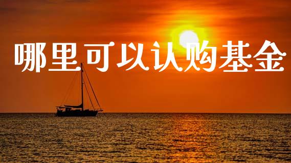 哪里可以认购基金_https://m.apzhendong.com_期货行情_第1张
