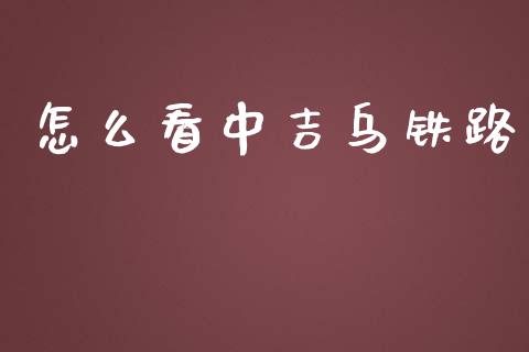 怎么看中吉乌铁路_https://m.apzhendong.com_财经资讯_第1张