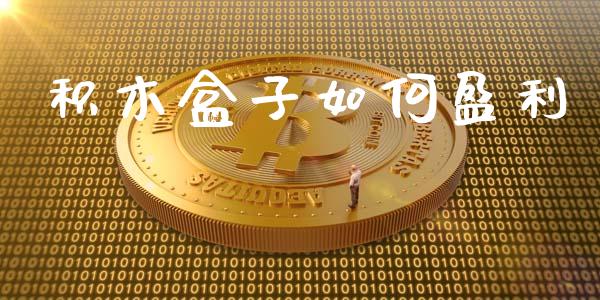 积木盒子如何盈利_https://m.apzhendong.com_财务分析_第1张