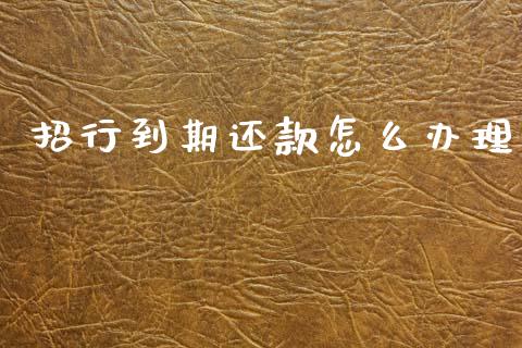招行到期还款怎么办理_https://m.apzhendong.com_财经资讯_第1张